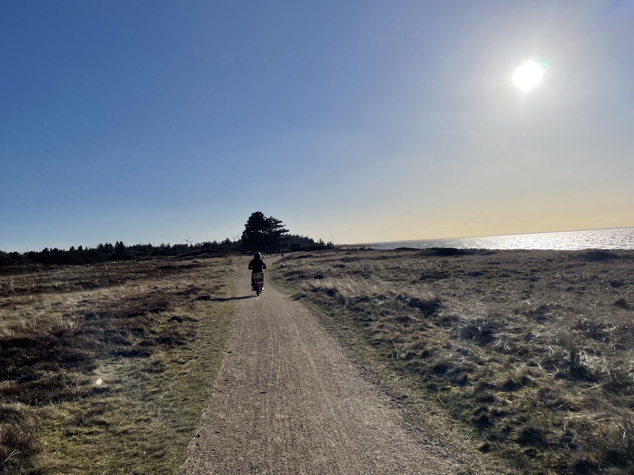 Aspen - et bedre brændstof